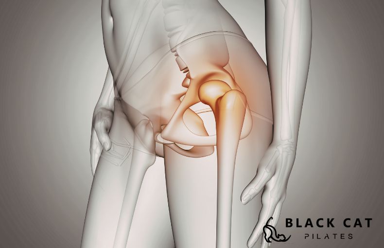 股関節の解放が、細胞リセットの「通り道」を確保する