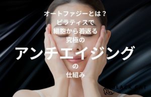 オートファジーとは？ピラティスで細胞から若返る「究極のアンチエイジング」の仕組み