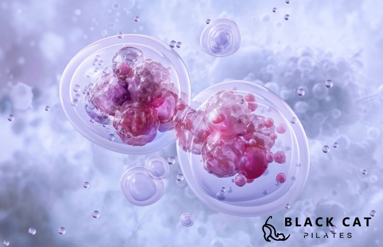 成功へ導く具体的な「方法」。細胞を活性化させる3つのルール