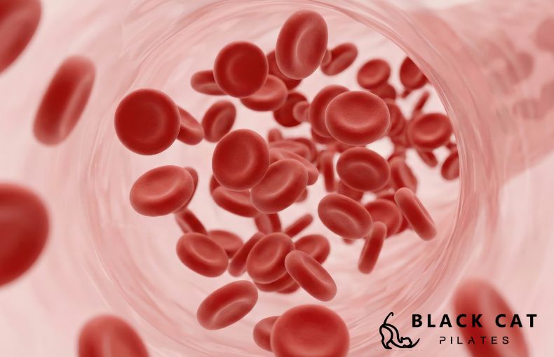 体の重だるさを一掃。血流促進による老廃物回収の加速