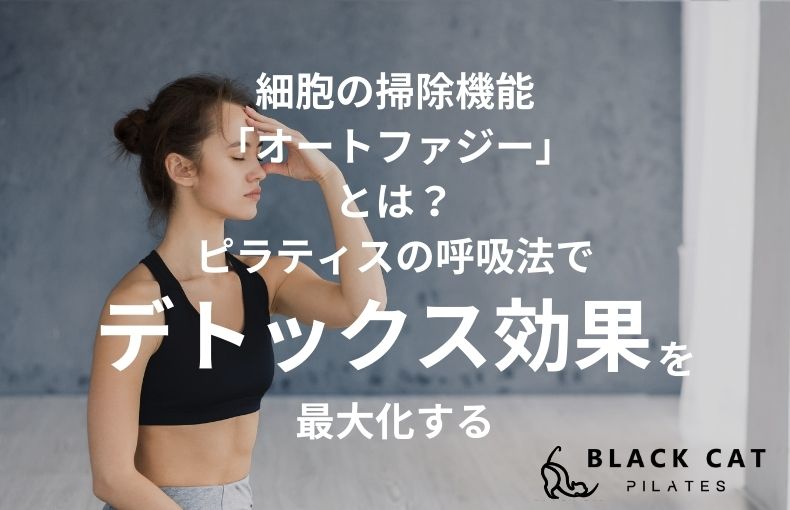 細胞の掃除機能「オートファジー」とは？ピラティスの呼吸法でデトックス効果を最大化する