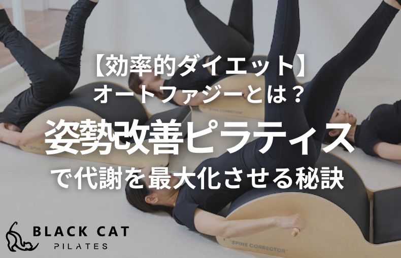 【効率的ダイエット】オートファジーとは?姿勢改善ピラティスで代謝を最大化させる秘訣