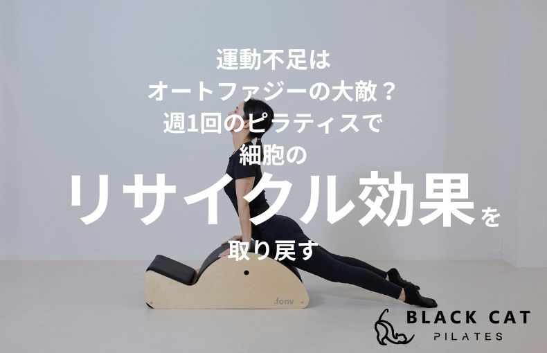 運動不足はオートファジーの大敵？週1回のピラティスで細胞のリサイクル効果を取り戻す
