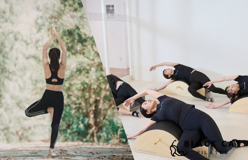 ヨガとピラティス、その根本的な「目的」と「起源」の違い