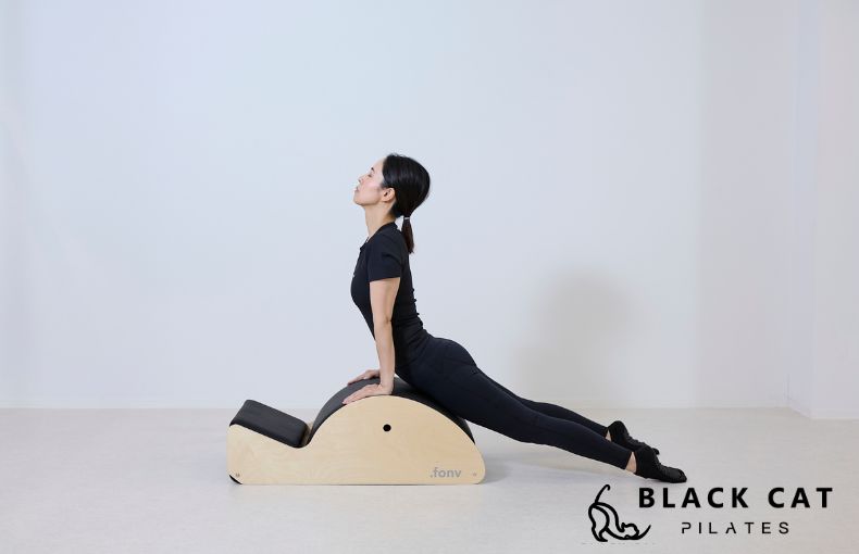 あなたが求めるのは「癒やし」か、それとも「変化」か