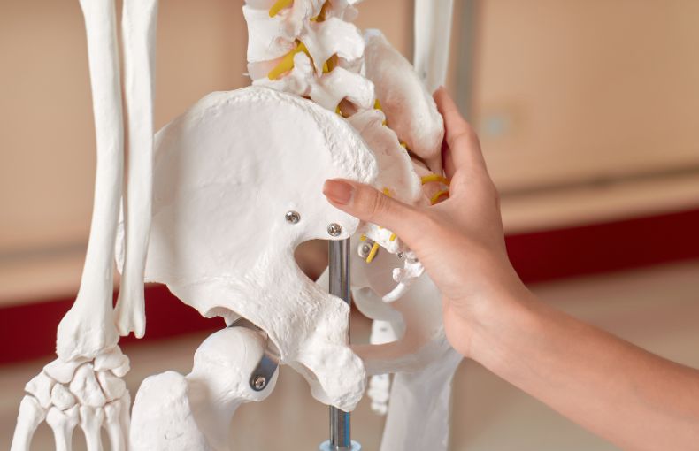 解剖学が証明!ピラティスで効率よく脂肪を燃焼させる「3つの秘訣」