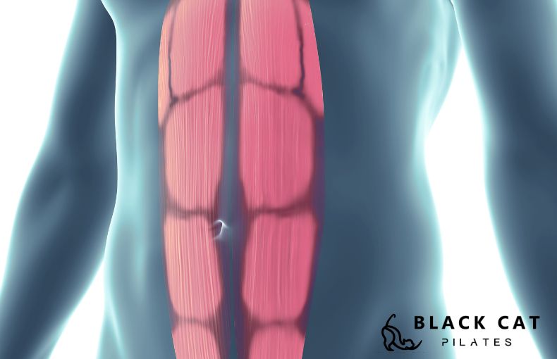 マットとマシンの違いを徹底比較。インナーマッスルへの効き方