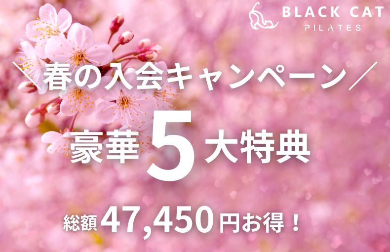 「姿勢改善」×「圧倒的・脂肪燃焼」で春の最速ボディメイク！ ピラティススタジオBLACK CAT 京都四条烏丸店｜春の豪華5大特典キャンペーン